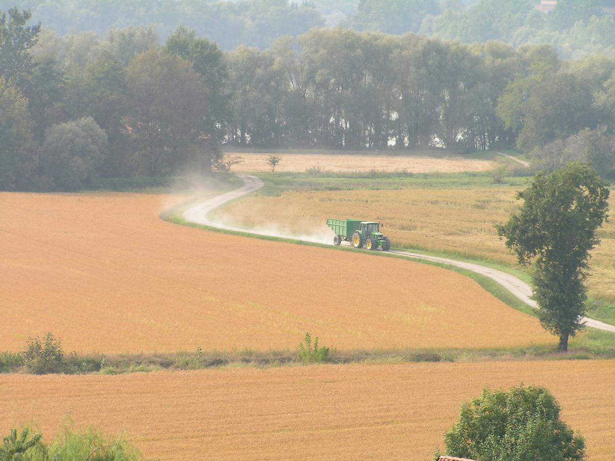 Agriturismo Le Risaie Basiglio Eksteriør bilde